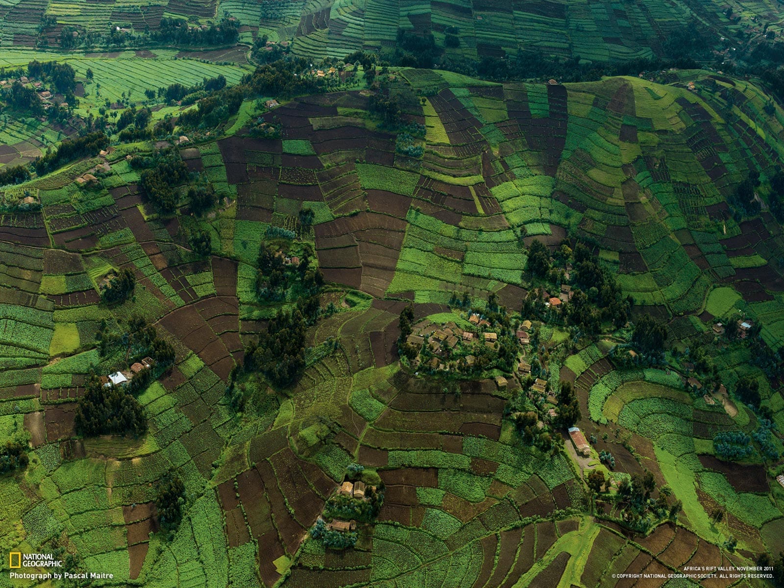 Patchwork of cultivated fields along a rift valley